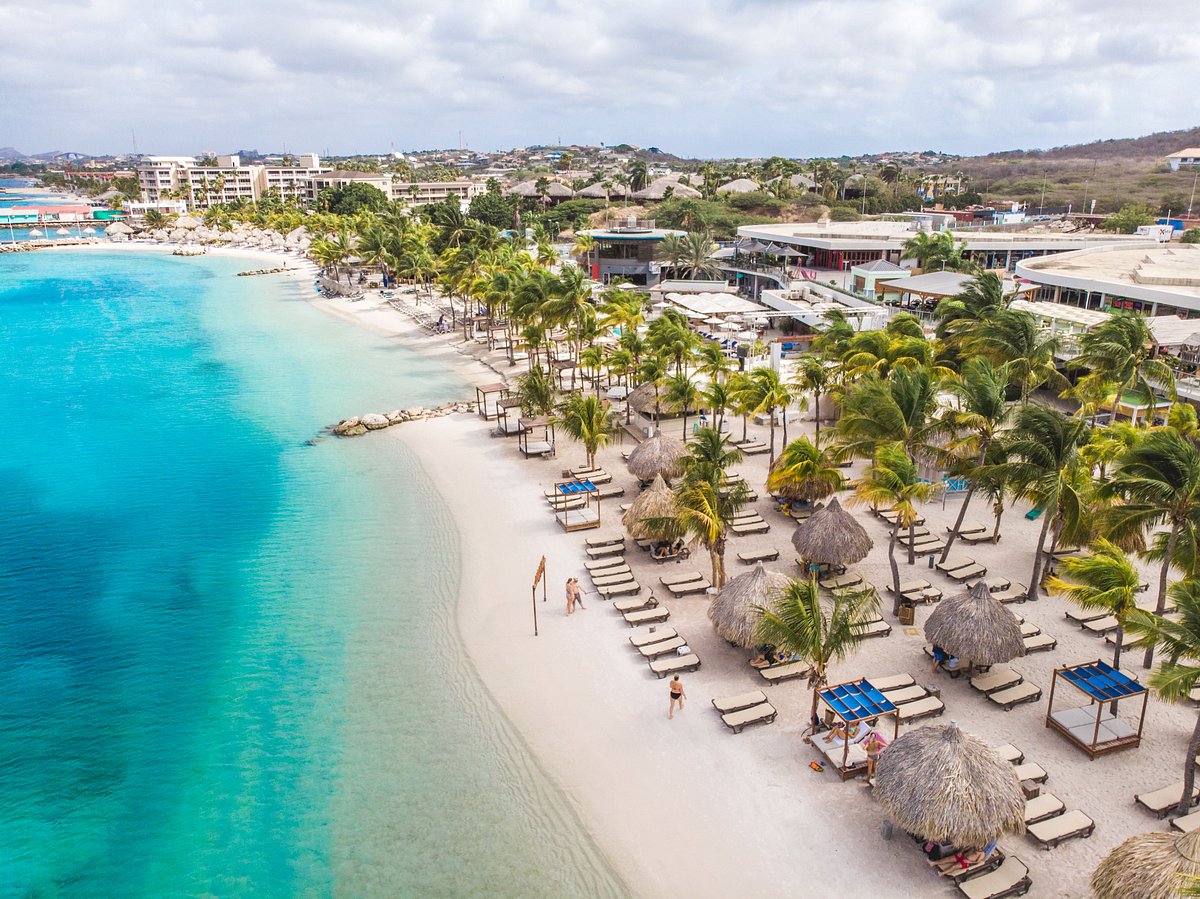 Mambo Beach palm trees